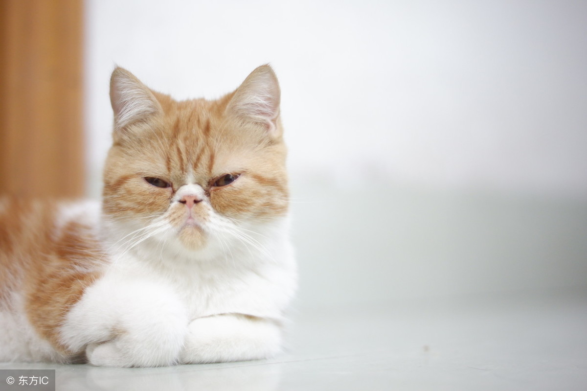 雙十一已過，阿里的服務(wù)器你還好嗎？ 